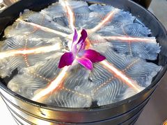 招牌有机黑鱼-七秒鱼·斑鱼火锅(太阳城店)