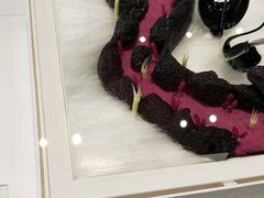 -黑天鹅蛋糕店(青年大街店)
