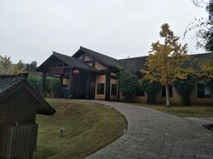 -崇阳三特浪口温泉