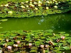 -国家植物园南园