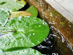 -海窝子古镇