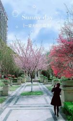 -重庆安琪儿妇产医院-妇幼保健联盟医院
