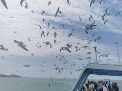 -海驴岛(荣成市)