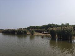 -西青郊野公园