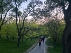 -北陵公园