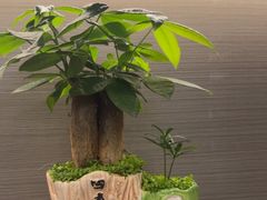 -鹿栖.精油SPA(金山世纪城店)