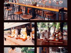 -柴犬高等学院·狗咖·柴犬售卖·宠物训练