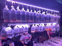 -华声天桥民俗文化园