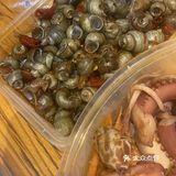 老板不在