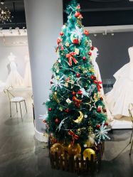 -艾米丽婚纱礼服