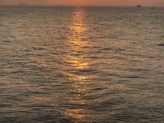 -演武大桥观景平台