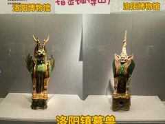 -洛阳博物馆