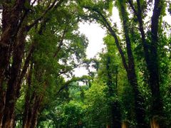 -畔山酒店中餐厅