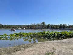 -长春市南湖公园