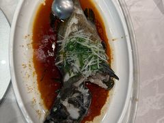 -大东海海鲜酒楼(渔人码头总店)