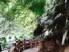 -百林公园-两江幸福广场