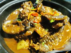 甲鱼-鳖皇甲鱼餐厅(平阳路店)