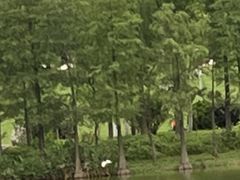-东莞植物园