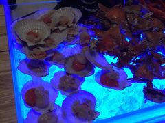 -万达文华酒店·48F云端窗景美食汇自助餐厅