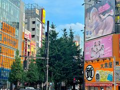 -秋叶原电器街