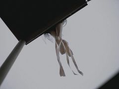 -浙江绿城心血管病医院