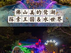 -美的鹭湖探索王国