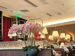 -新白鹿餐厅(松江开元地中海店)