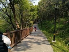 -平湖九龙山旅游度假区
