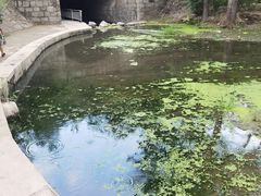 -白水寺森林公园