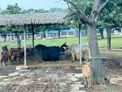 -西安秦岭野生动物园