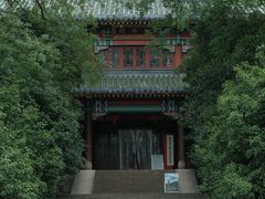 -灵谷景区