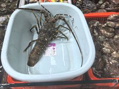 -船奇蒸汽海鲜·闽菜(八市海鲜总店)