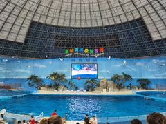 -泉城欧乐堡海洋极地世界