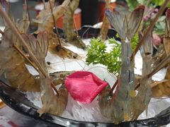 -捞围鲜·港式打边炉(海阳路店)