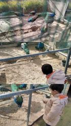 -萌宠亲子动物乐园(槐房万达店)