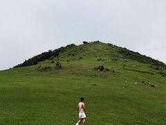 -大姆山草场