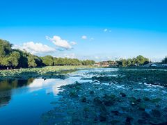 -长春市南湖公园