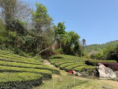 -敬亭山风景名胜区