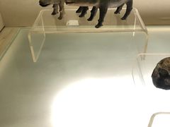 -旅顺博物馆