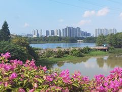 -广东花都湖国家湿地公园