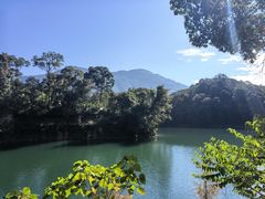 -广州市流溪河国家森林公园