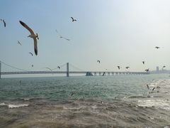 -星海广场