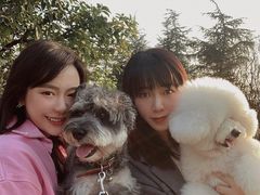 -铁山坪森林公园