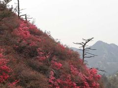 -木兰云雾山