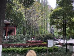 -温江公园