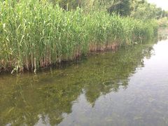 溱湖国家湿地公园-溱湖国家湿地公园