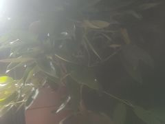 -阳光海鲜城(太仓万达店)