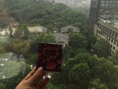 -桐庐开元名都大酒店