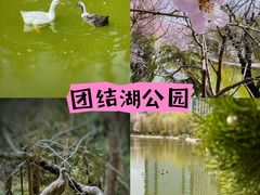 -团结湖公园