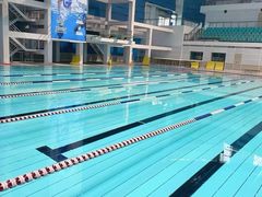 -奥体中心游泳馆